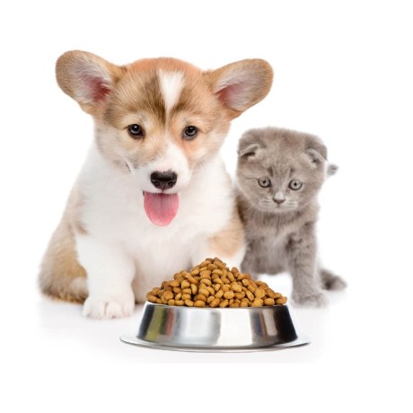 Croquettes and foods for animals