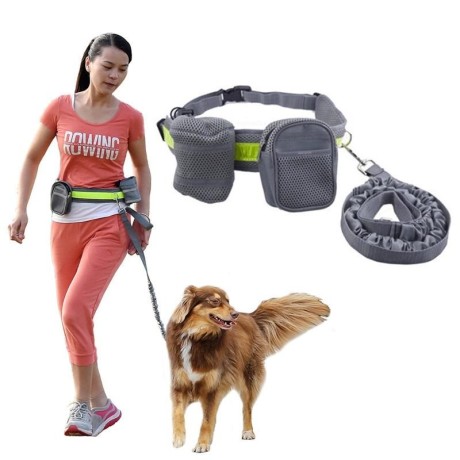 Pet Accessories