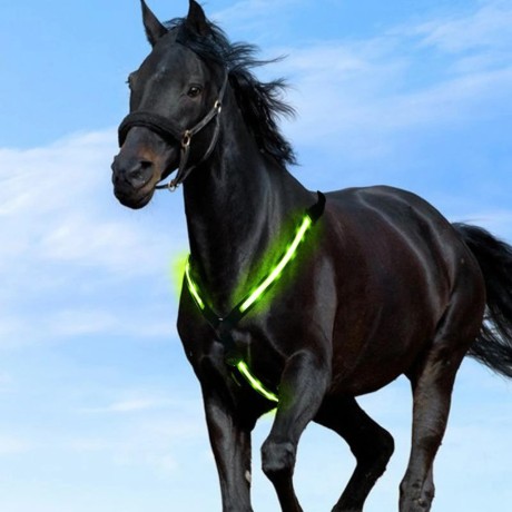 Horses